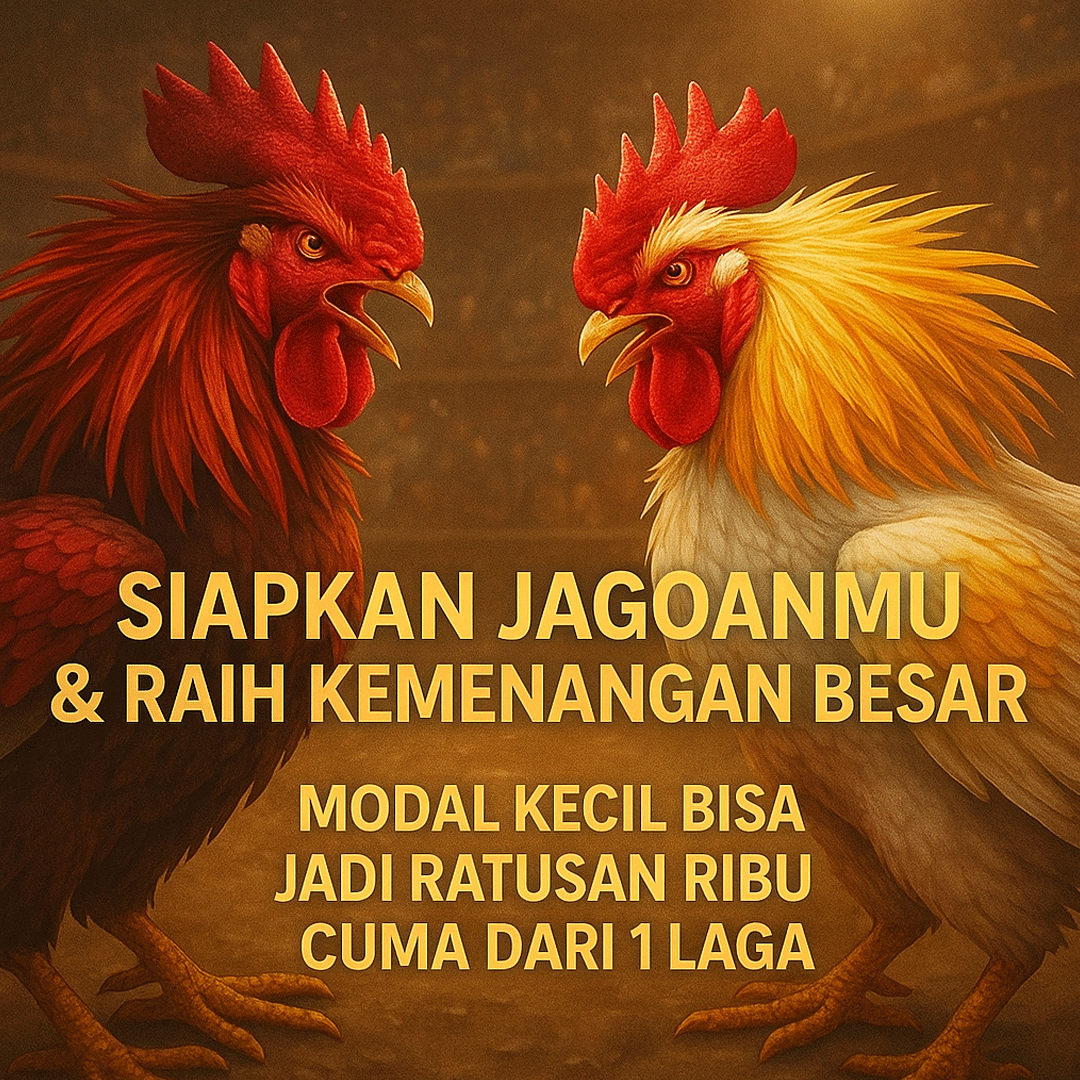 SABUNG AYAM – ADU STRATEGI, ADU CUAN